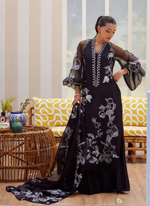 Reina Ebony Pleated Pants