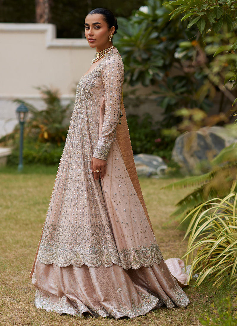 Parizah Pink Bridal