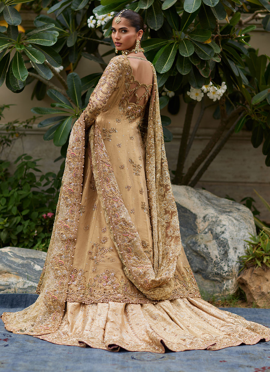 Parizad Gold Bridal