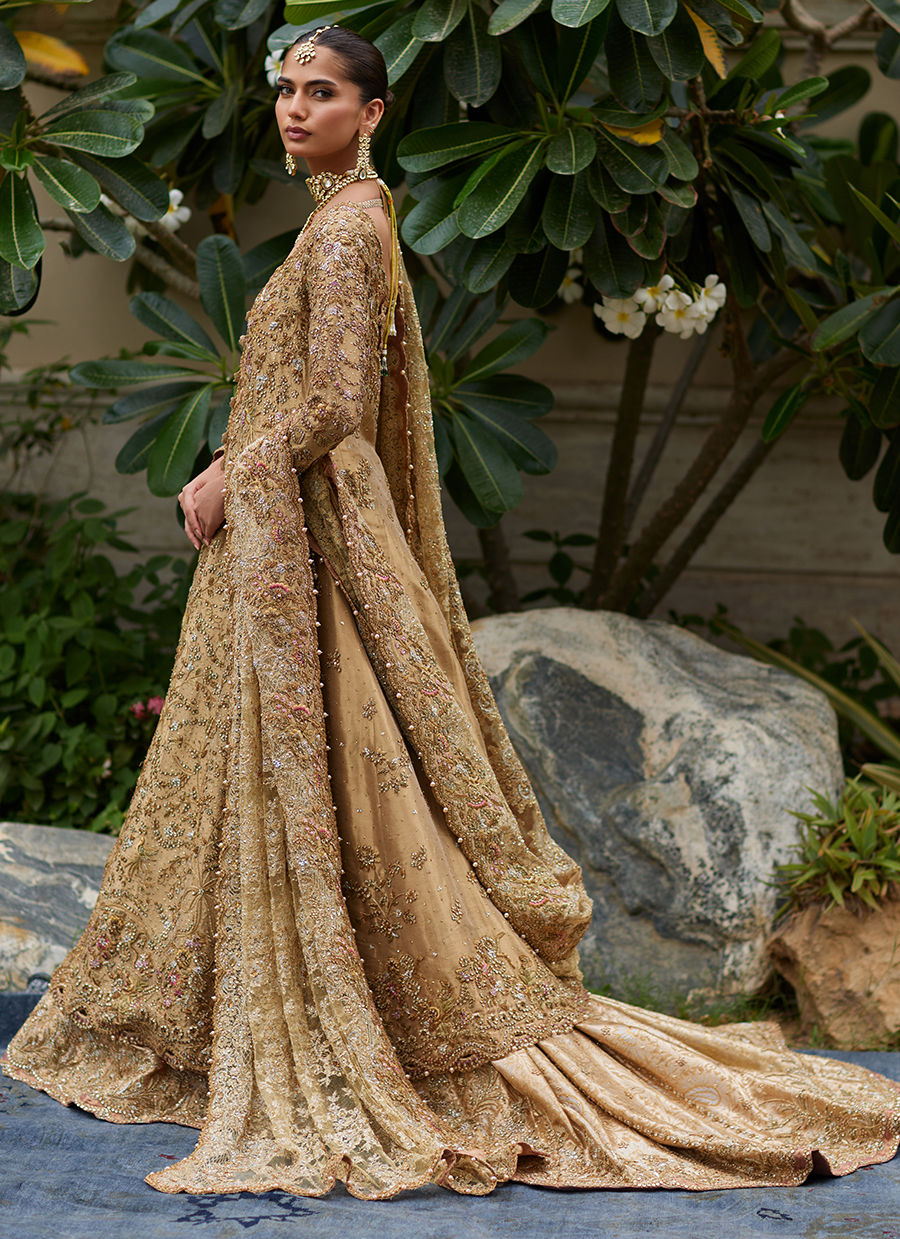 Parizad Gold Bridal