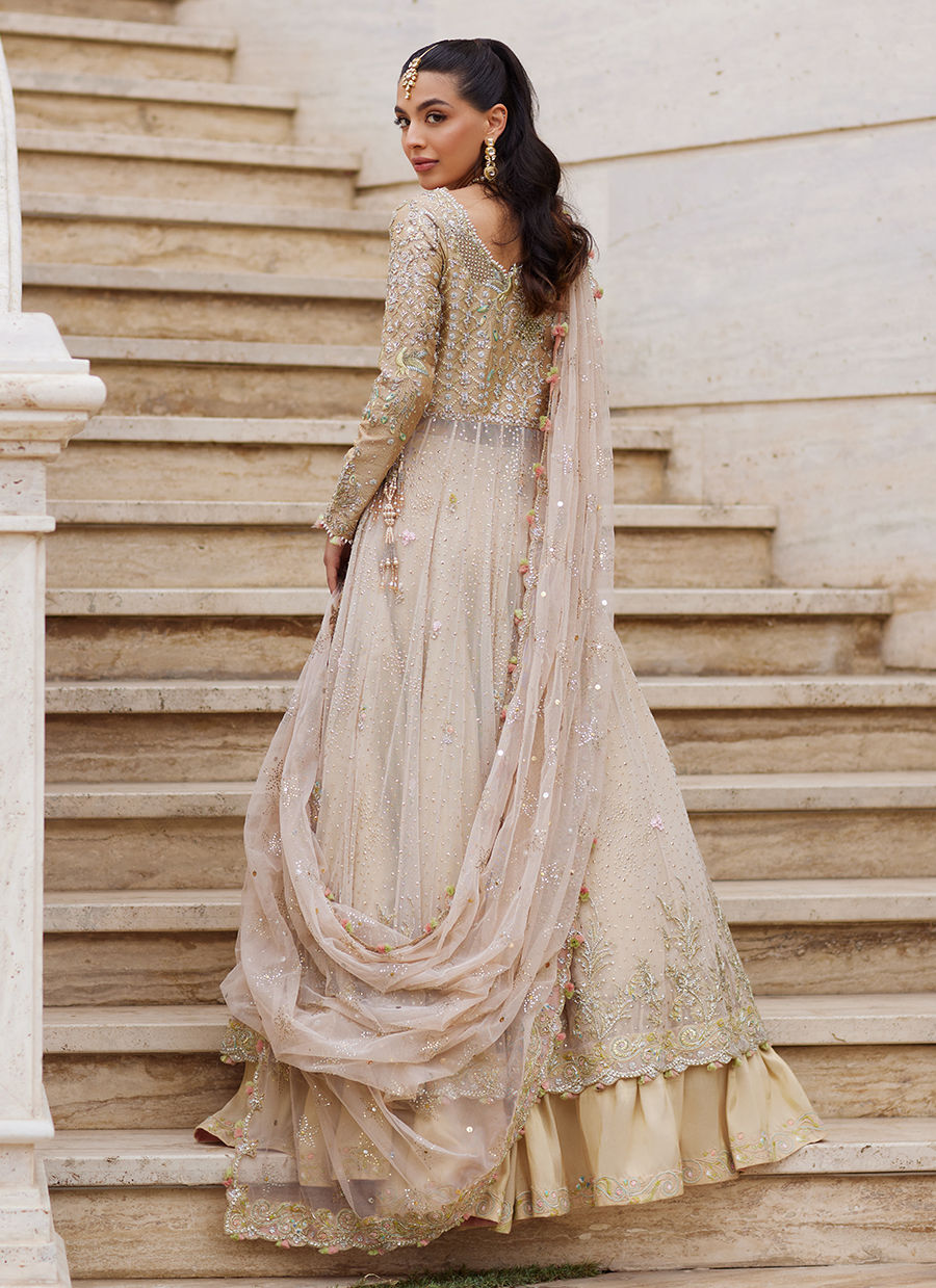 Sitara Champagne Kalidaar