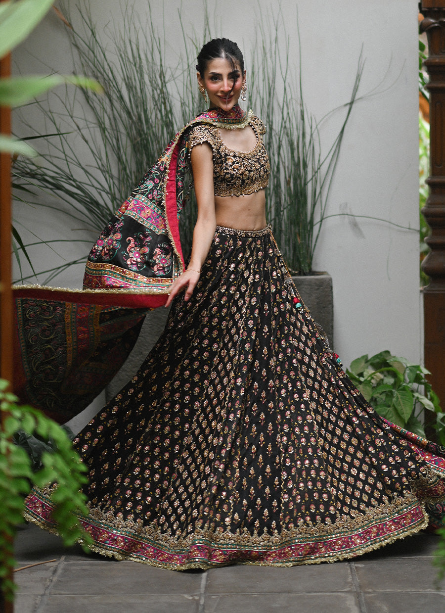 Alanara Black Lehnga Choli
