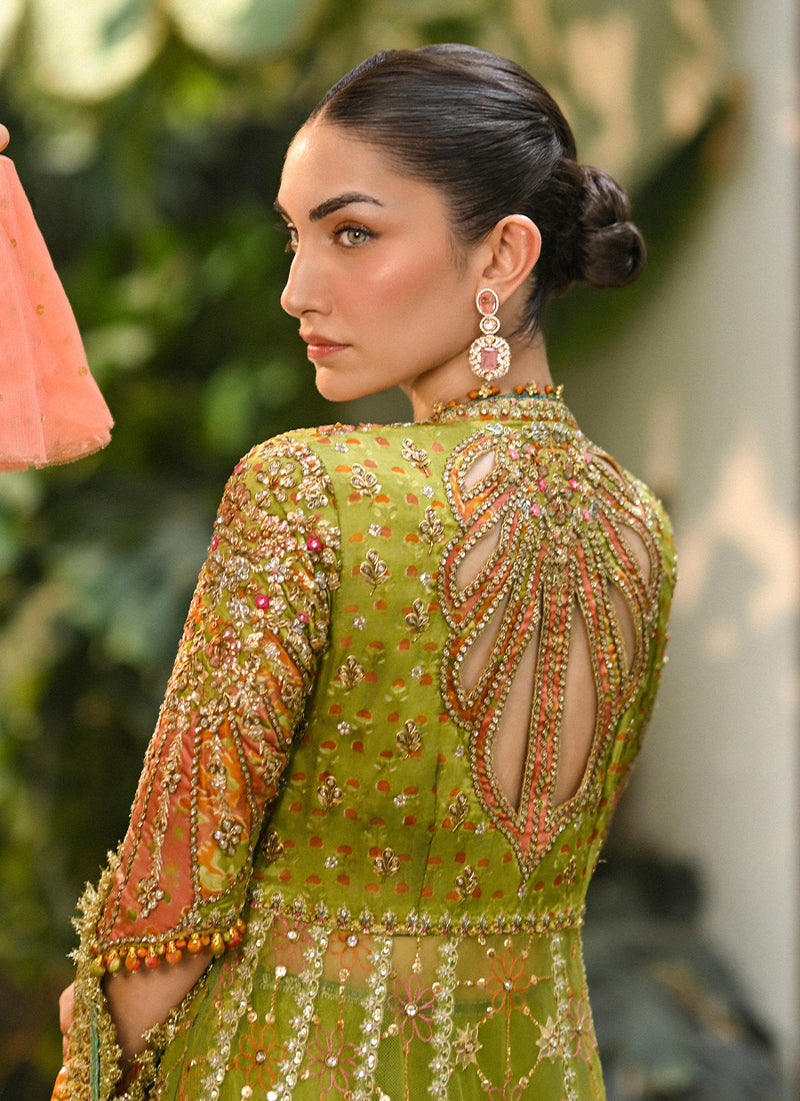 Sabina Olive Green Kalidaar