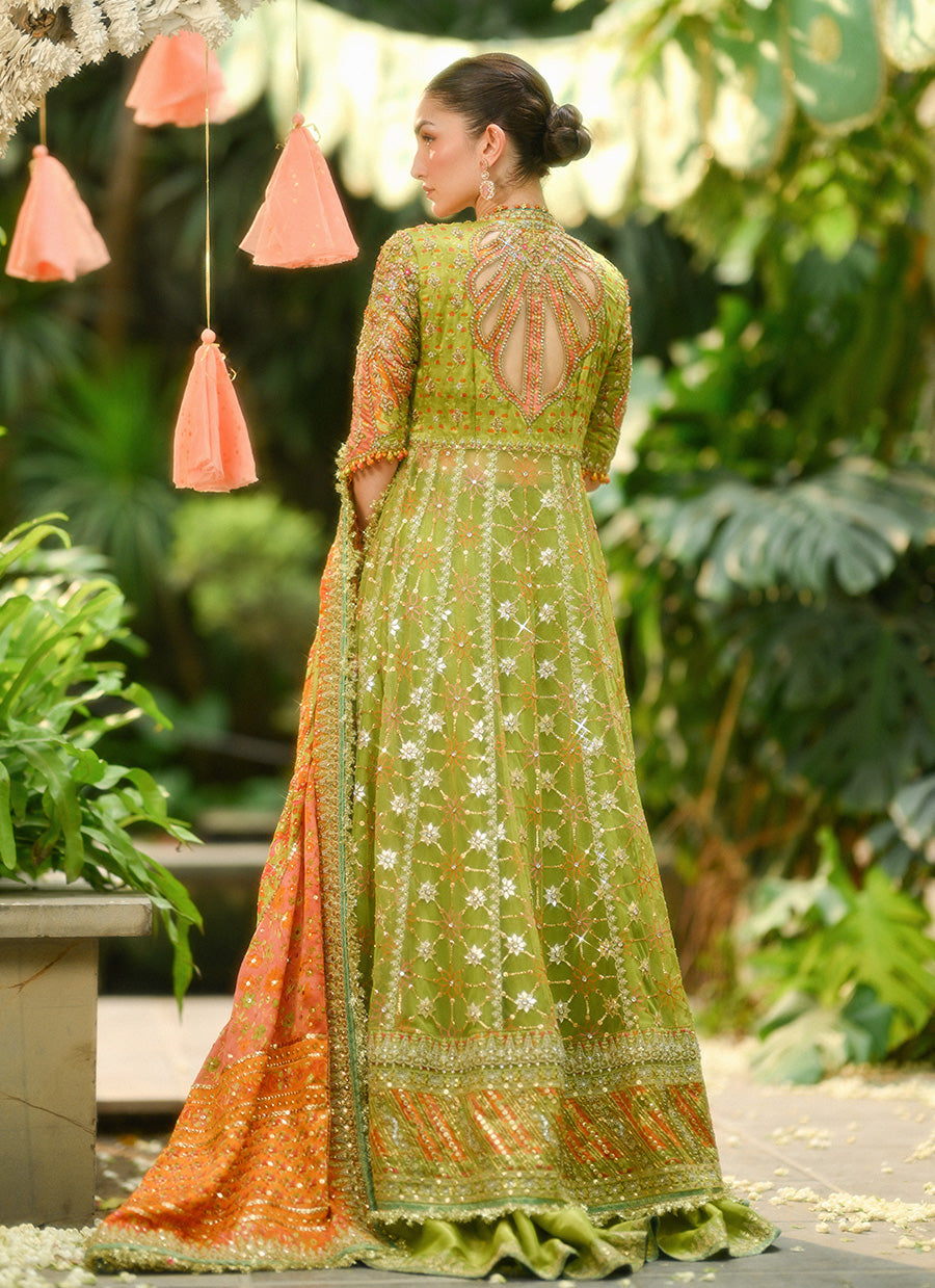 Sabina Olive Green Kalidaar