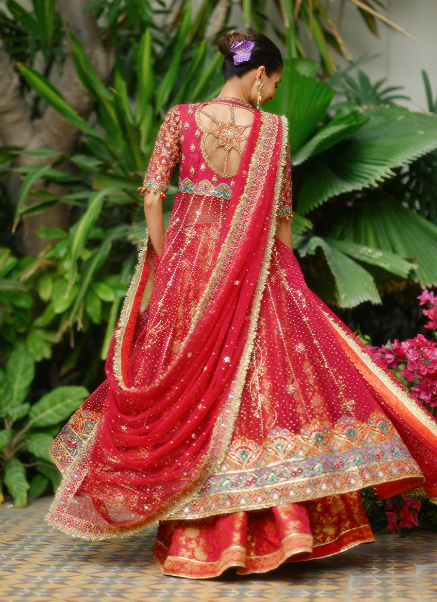 Cassia Pink Kalidaar