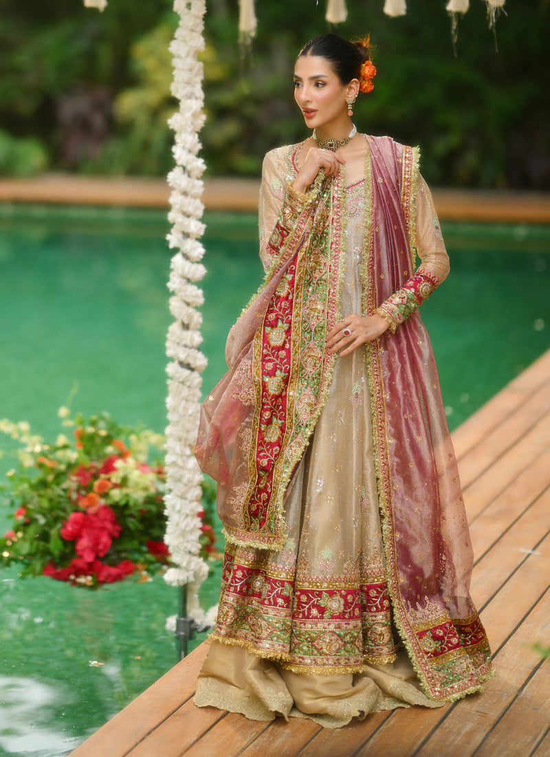 Farin Champagne Gold Kalidaar