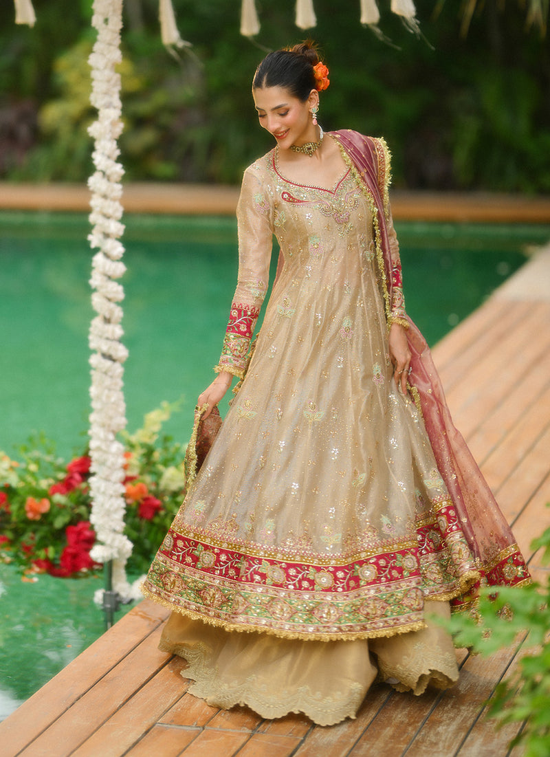 Farin Champagne Gold Kalidaar