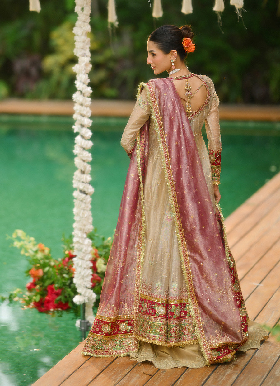 Farin Champagne Gold Kalidaar