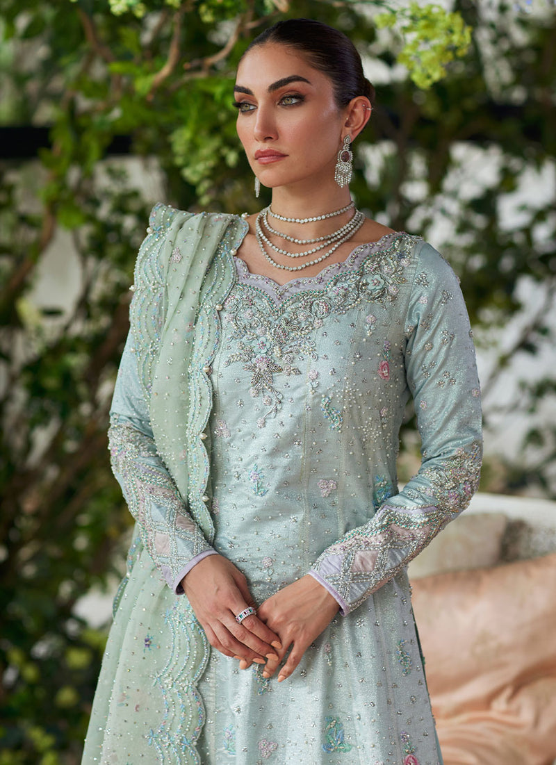 Amali Mint Kalidaar