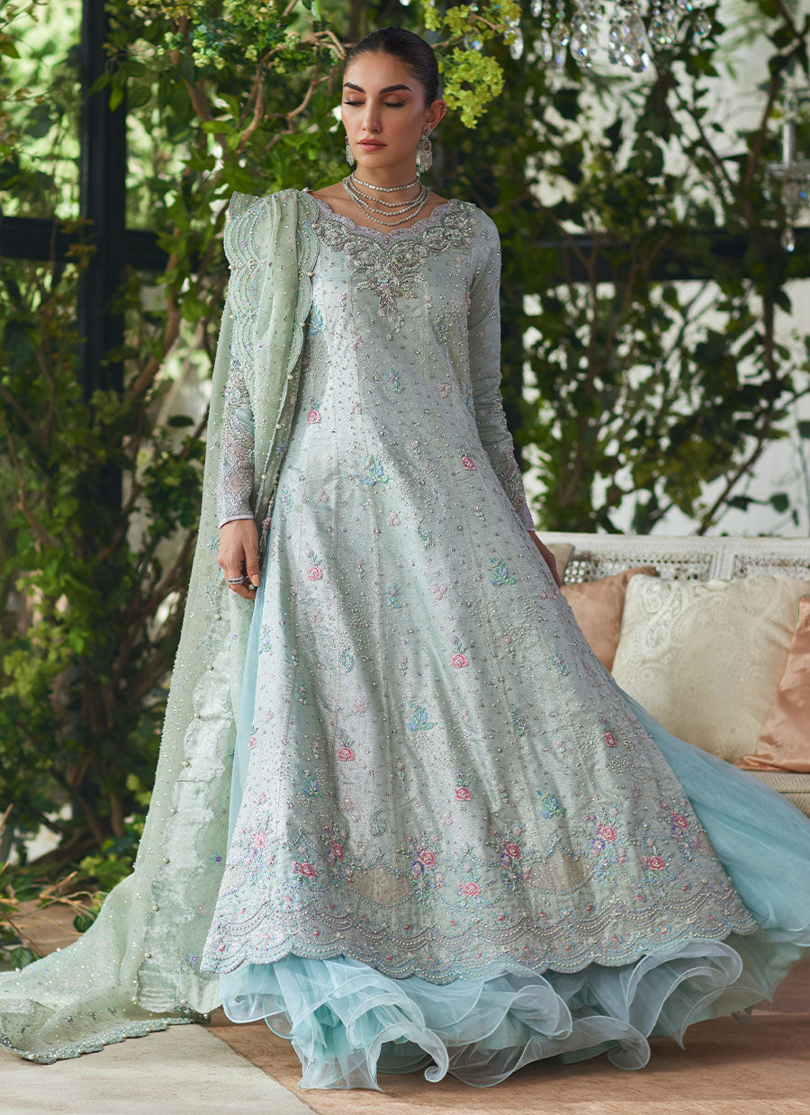 Amali Mint Kalidaar