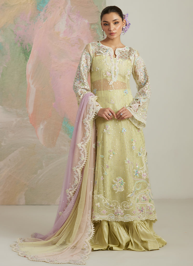 Castilla Shirt And Lehnga