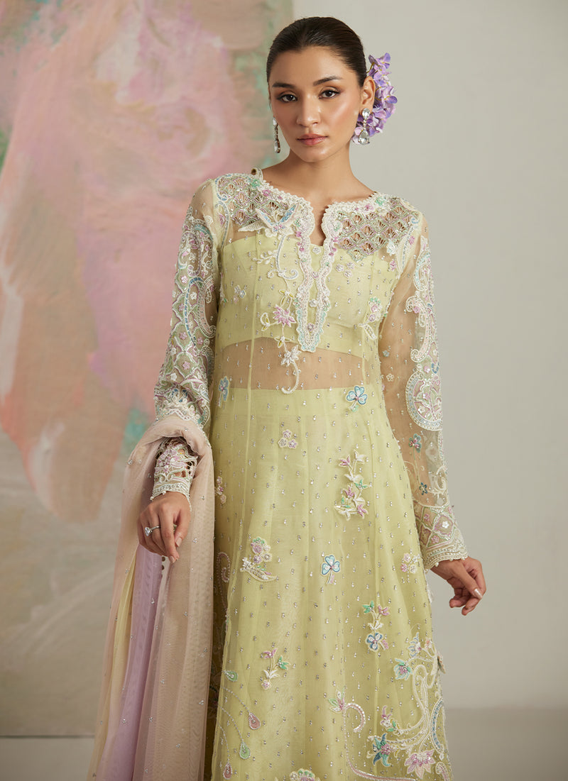 Castilla Shirt And Lehnga