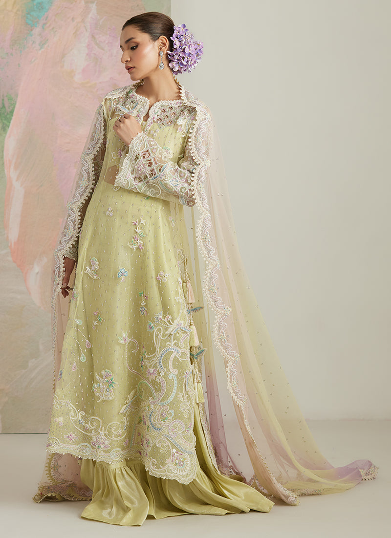 Castilla Shirt And Lehnga
