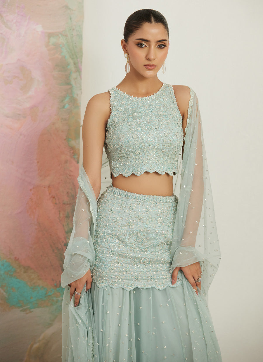 Gianna Blouse And Net Drape