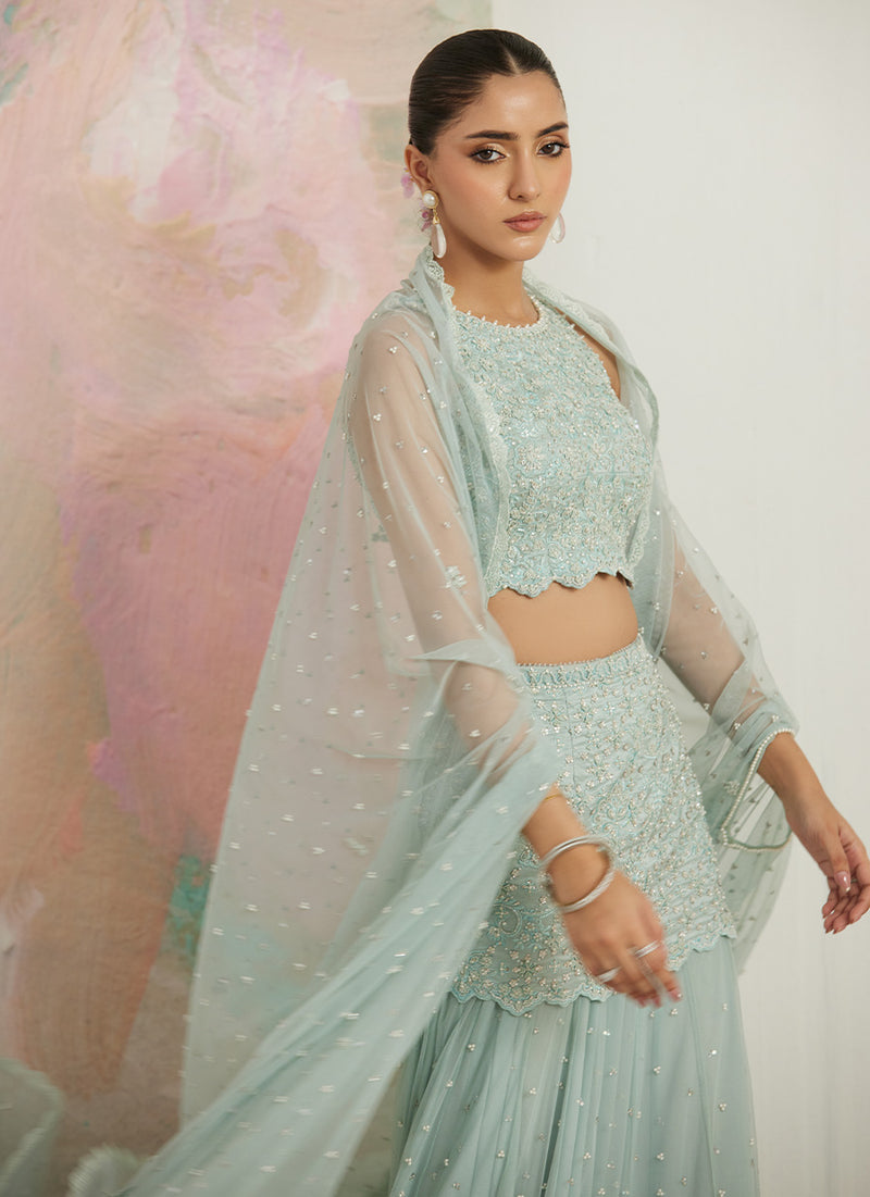 Gianna Blouse And Net Drape