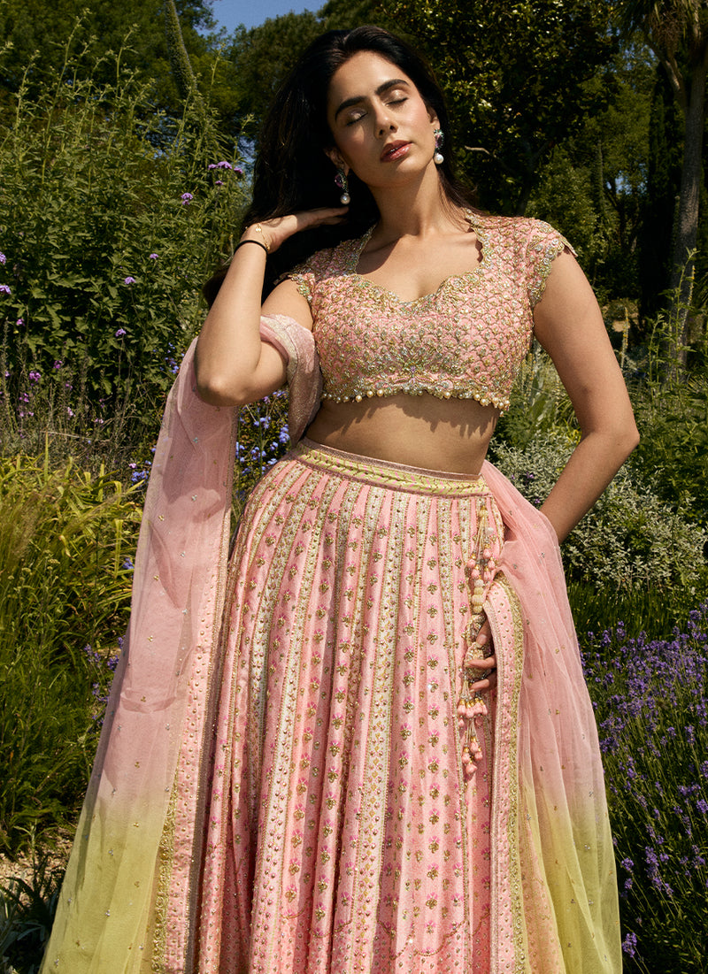 Nola Lehenga Choli