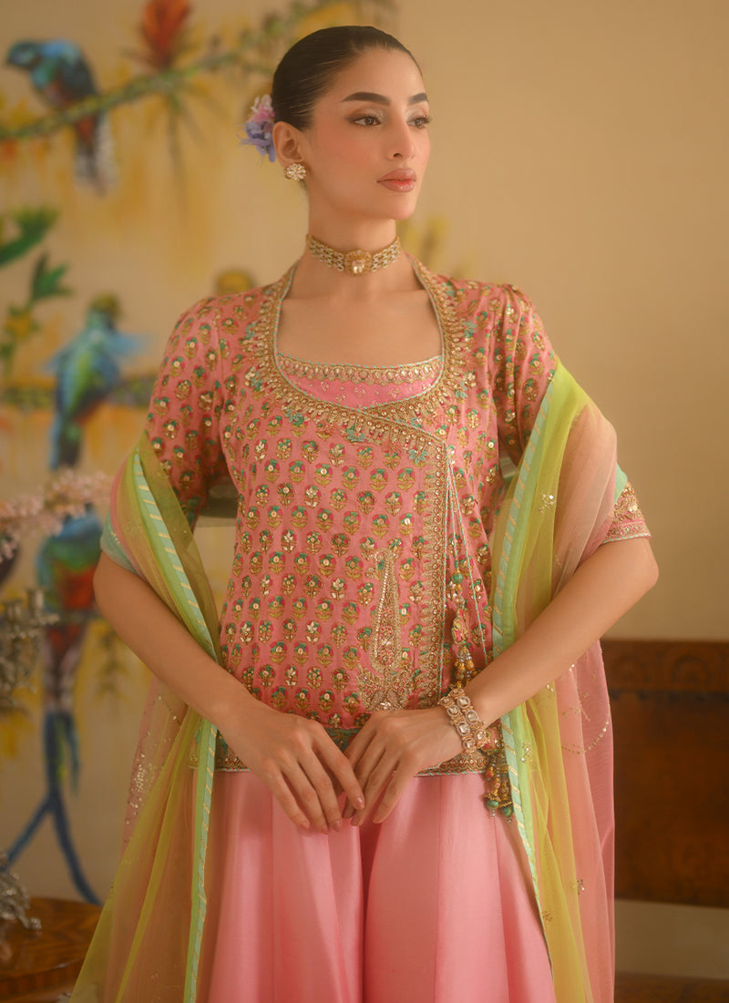 Nikkie Shirt And Dupatta