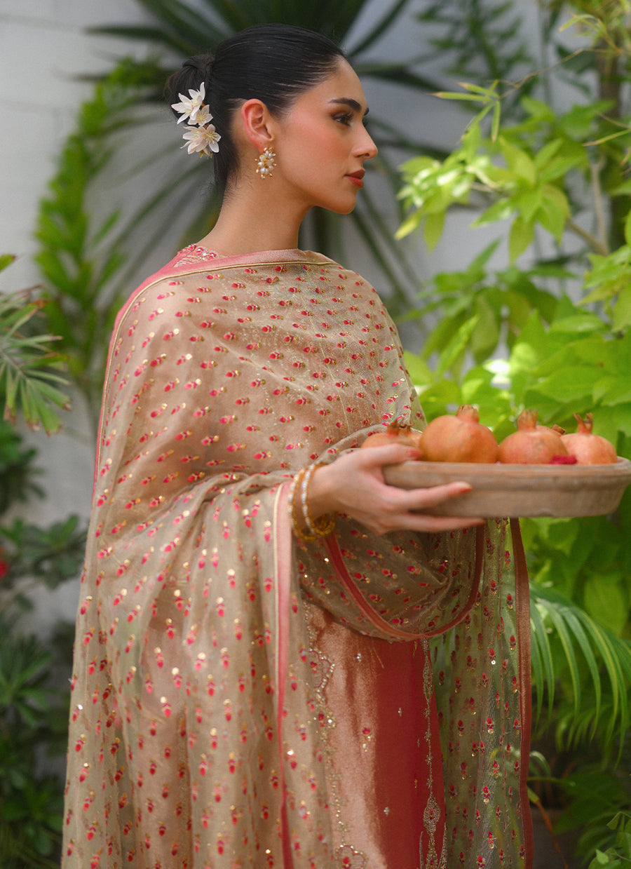 Delilah Shirt And Dupatta