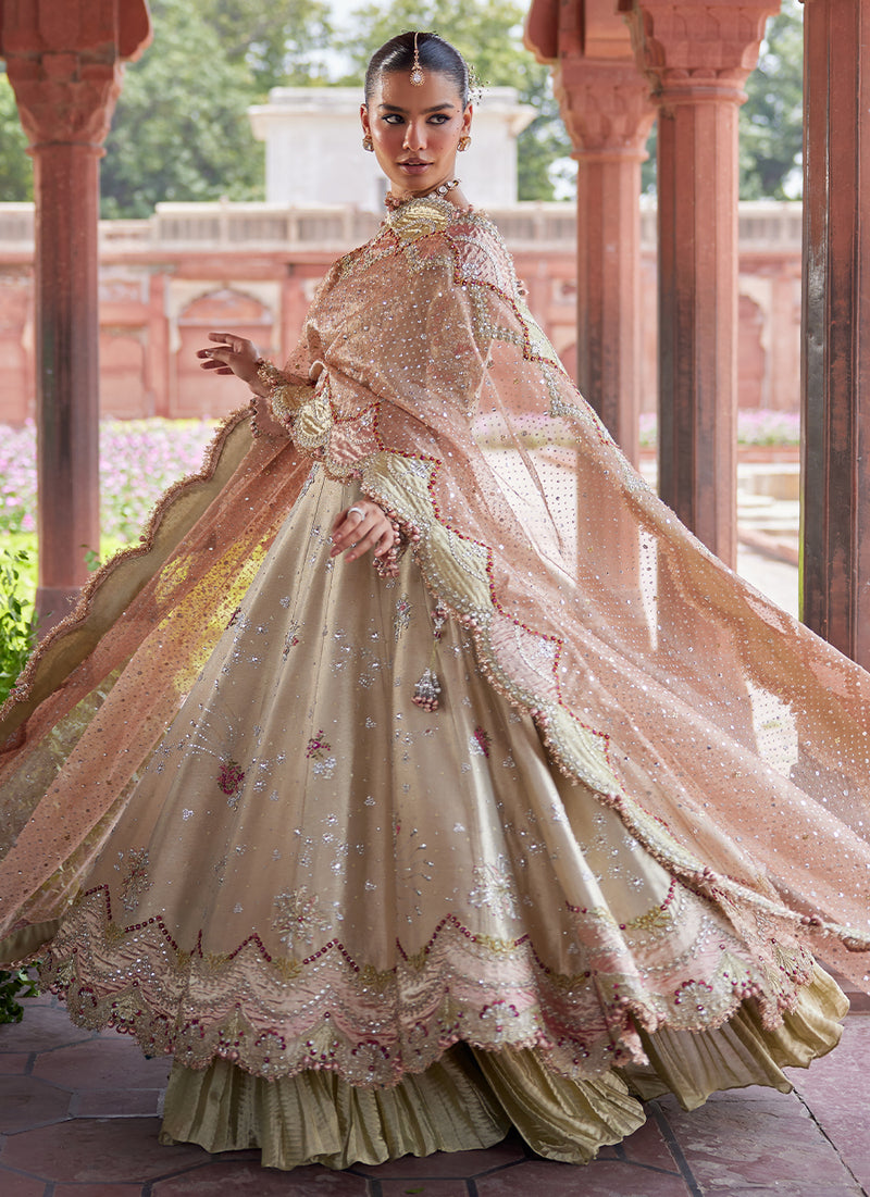 Helena kalidaar and Crushed Lehenga