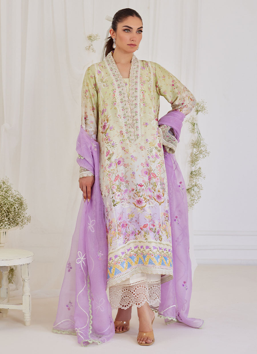 Renata Embroidered Organza Dupatta