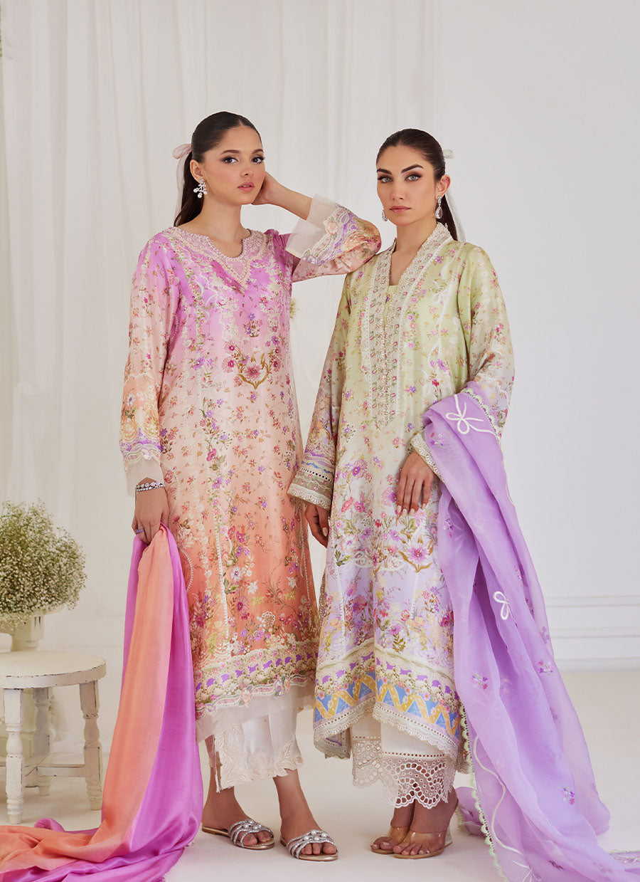 Renata Embroidered Organza Dupatta