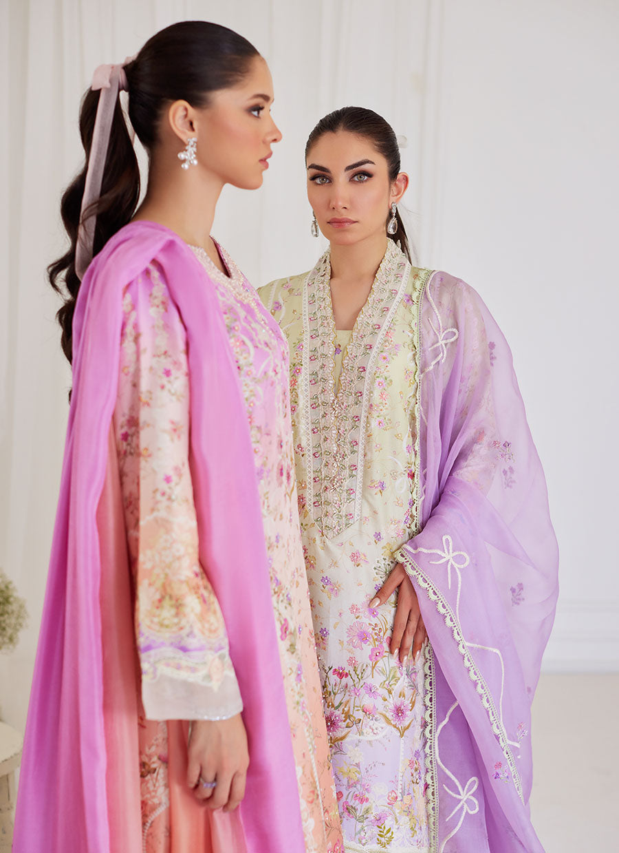 Renata Embroidered Organza Dupatta