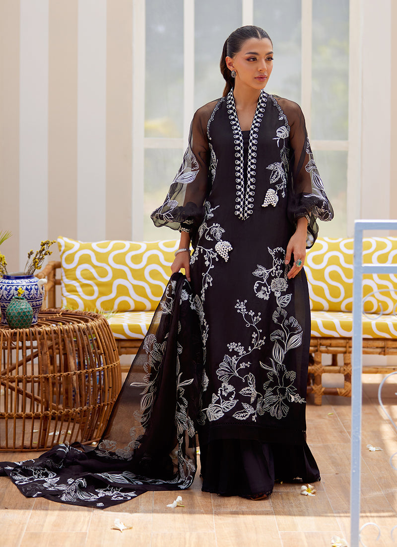 Reina Ebony Shirt and Dupatta
