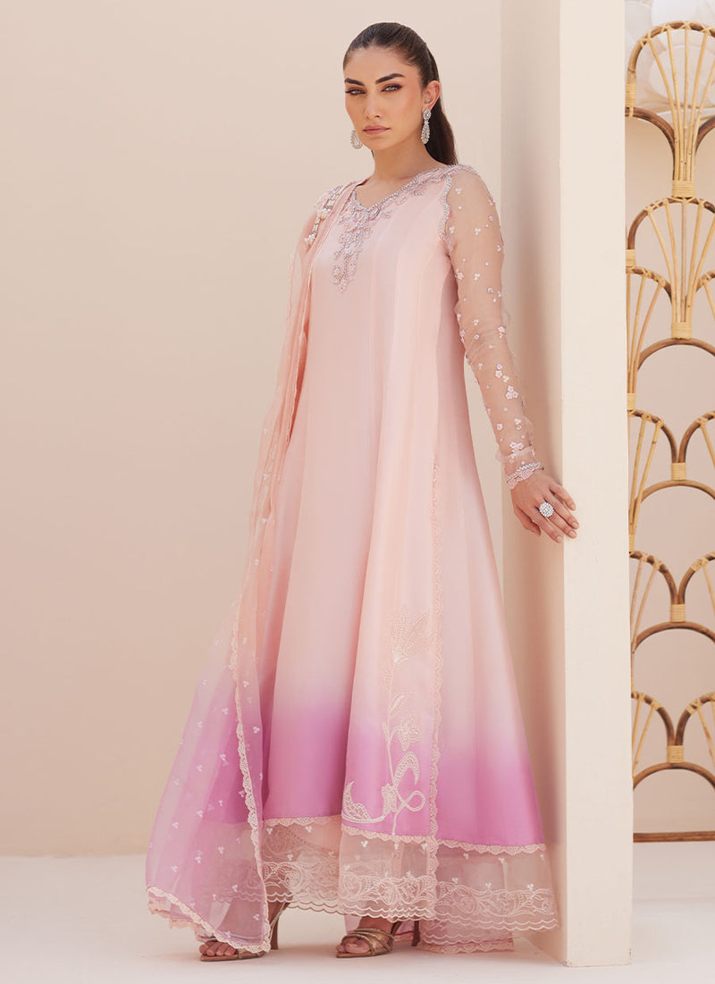 Deedee Pink Ombre Paneled Shirt and Dupatta