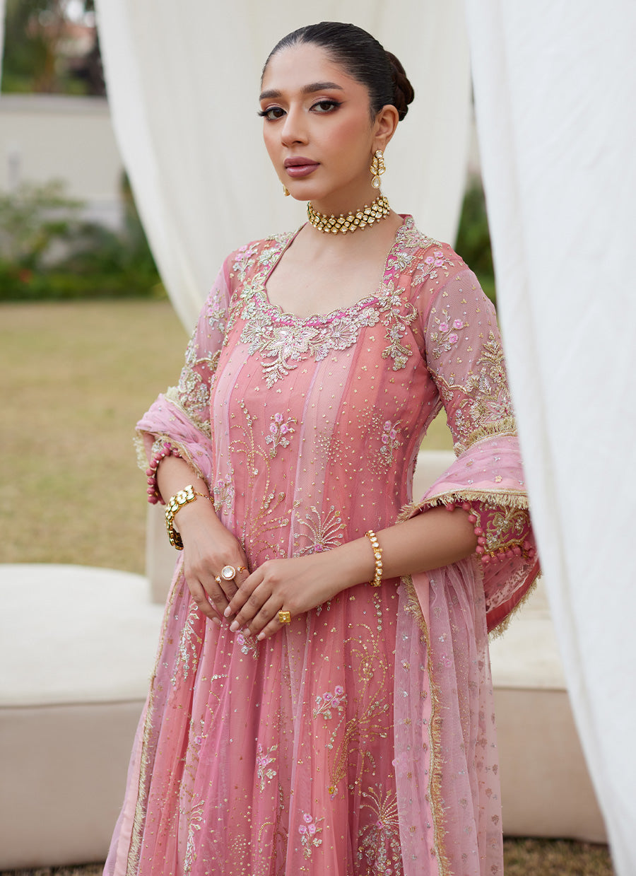 Ivyana Pink Kalidaar