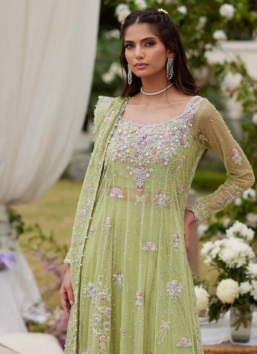 Elira Kiwi Ensemble
