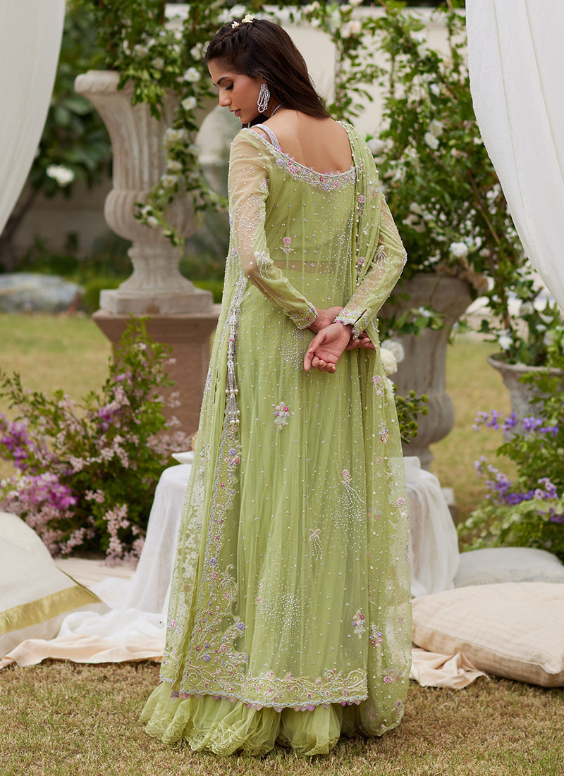 Elira Kiwi Ensemble