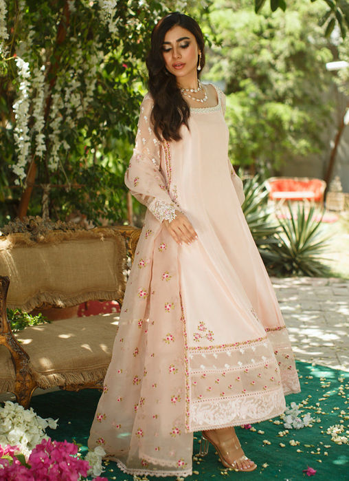 Picture of Blush Amara Kalidaar And Dupatta