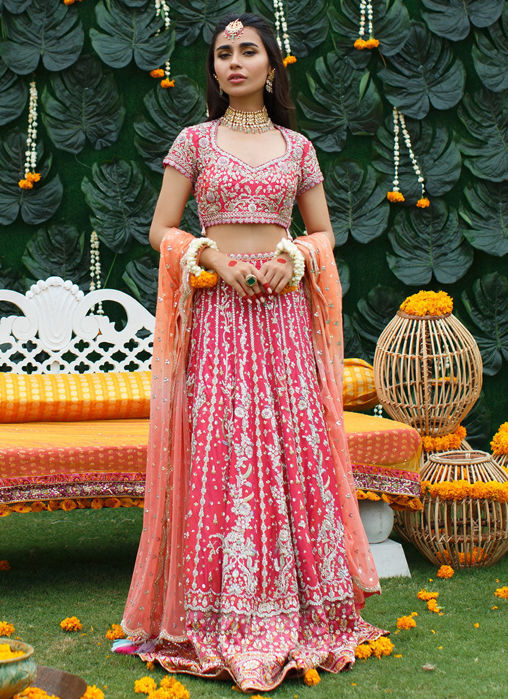 Picture of Yara Two-Tone Lehenga Choli