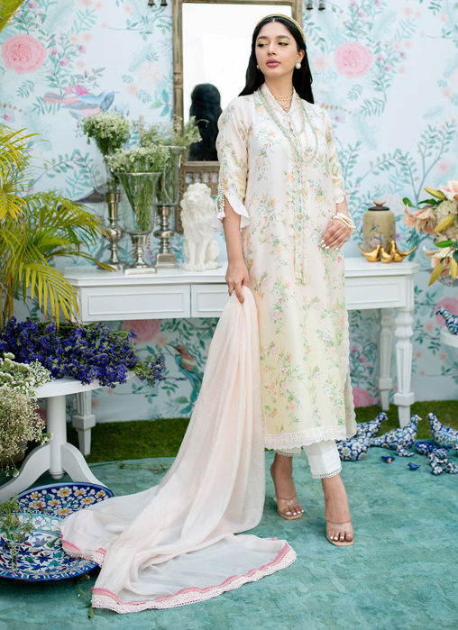 Aster Shirt And Dupatta