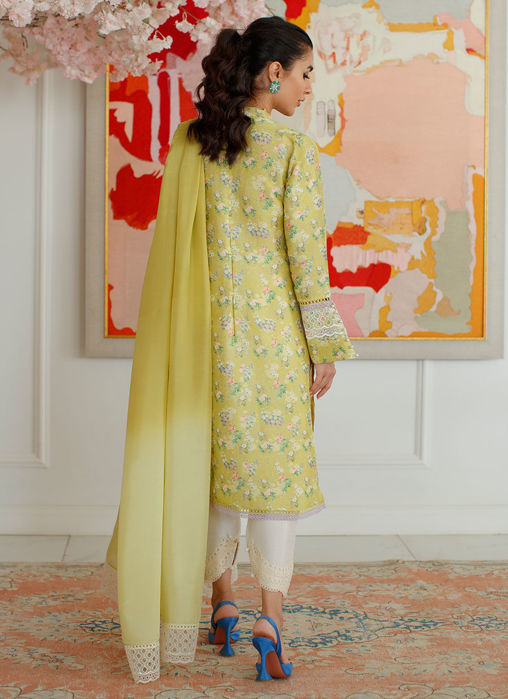 Eden Kiwi Shirt And Dupatta