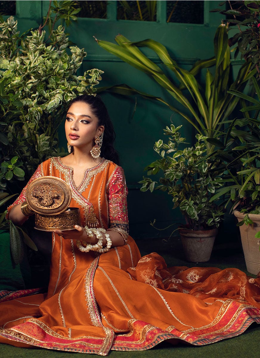 Shohreh Rust Kalidaar With Organza Baali Embroidered  Sequence Dupatta