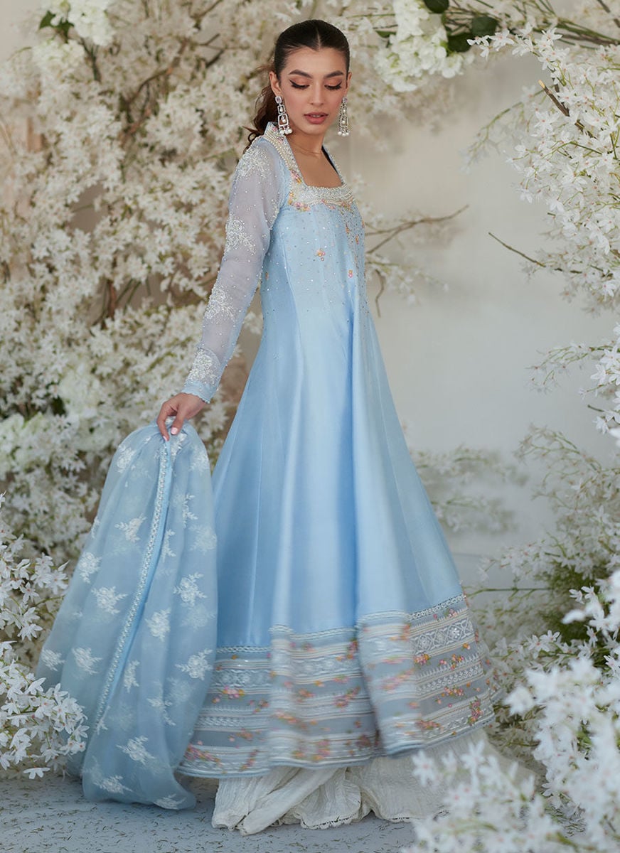 Nilla Kalidaar And Dupatta