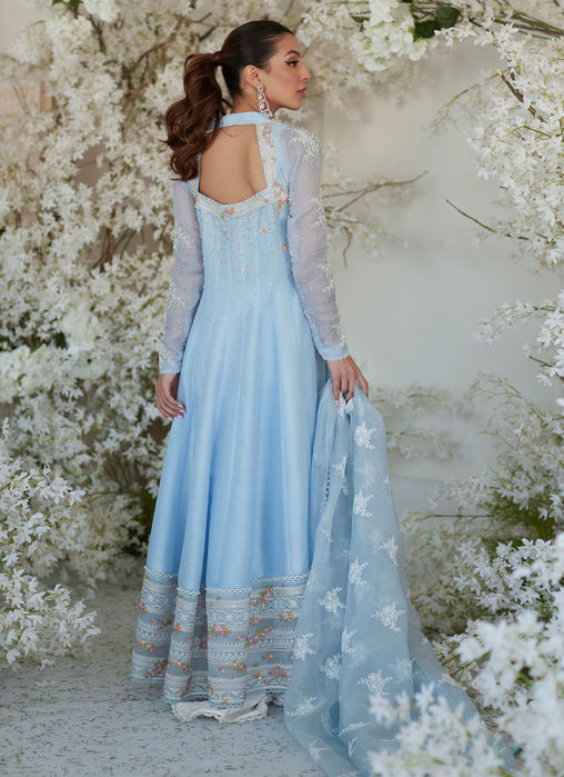 Nilla Kalidaar And Dupatta