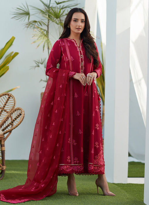 Dion Scarlett Paneled Shirt And Dupatta