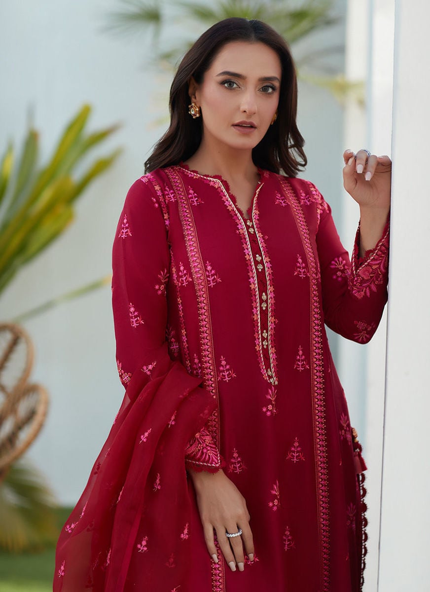 Dion Scarlett Paneled Shirt And Dupatta