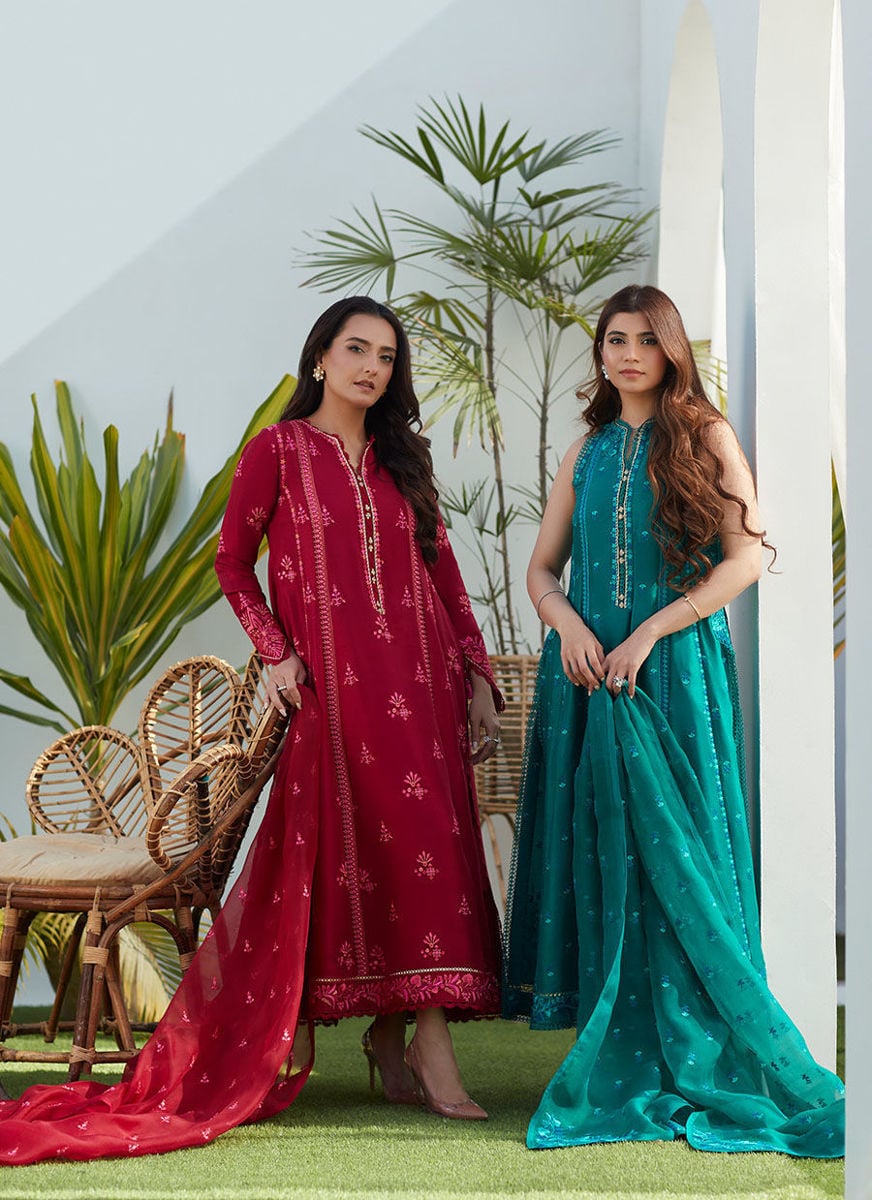 Dion Scarlett Paneled Shirt And Dupatta