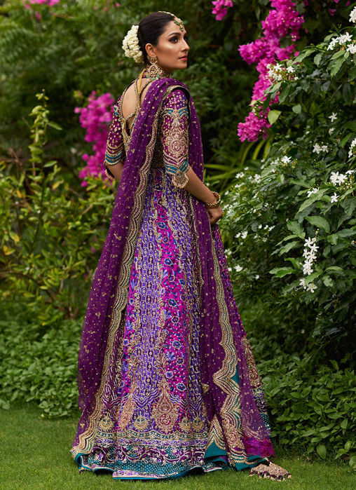 Zeenat Aubergine