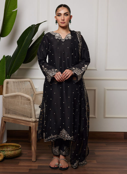 Picture of Nubia Onyx Shirt And Dupatta