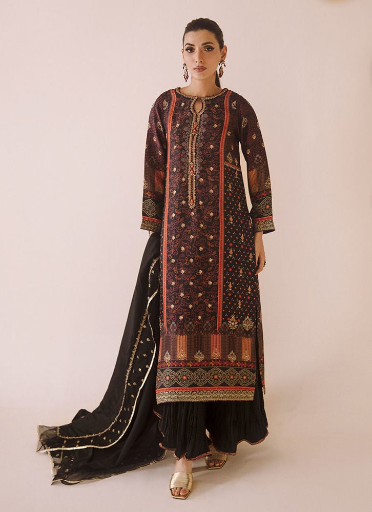 Onyx Cluster Dupatta