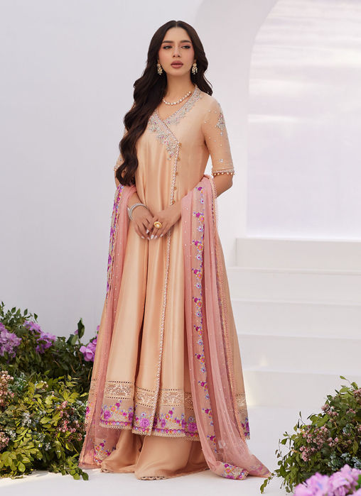 Picture of Lisette Fawn Embellished Raw Silk Angarkha And Dupatta