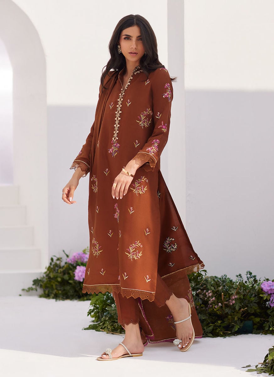 Noemie Chocolate Embroidered Raw Silk Shirt And Dupatta