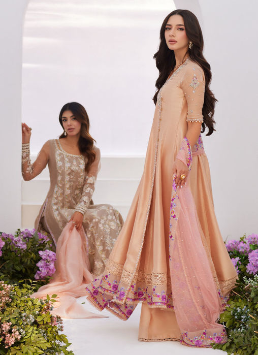 Lisette Fawn Embellished Raw Silk Angarkha And Dupatta