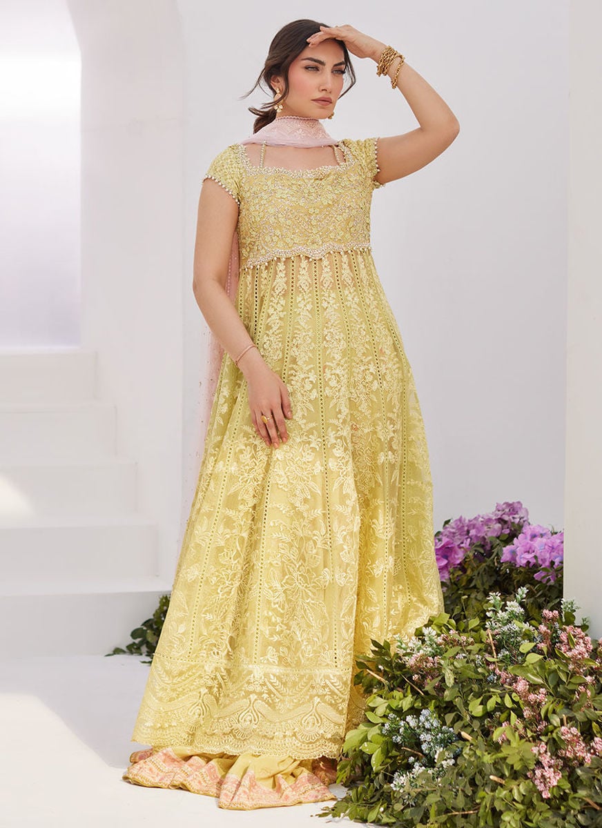 Reine Kiwi Embroidered Embellished Kalidaar