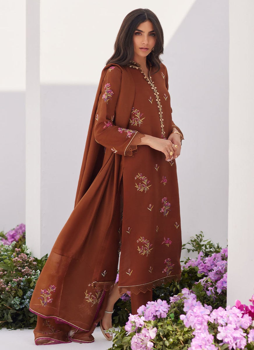 Noemie Chocolate Embroidered Raw Silk Shirt And Dupatta
