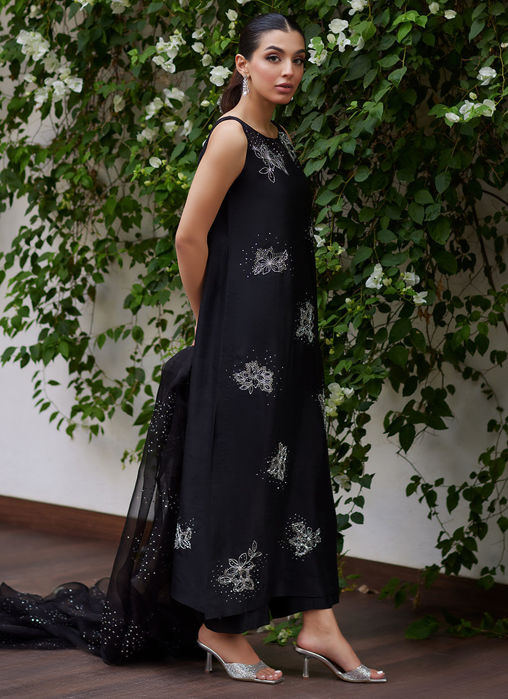 Lev Onyx Embellished Raw Silk Shirt And Organza Dupatta